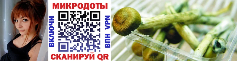 Псилоцибиновые грибы Cubensis  Купить  Серпухов 